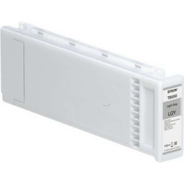 Epson Tintenpatrone grau hell T8000 C13T800000