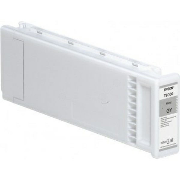 Epson Tintenpatrone grau T8009 C13T800900